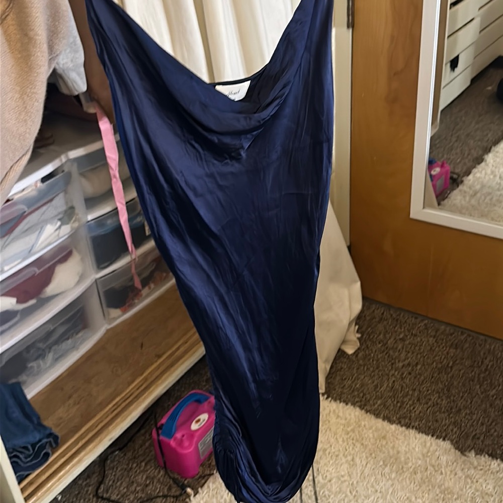 Aritzia dress, silk, sinches on the sides.